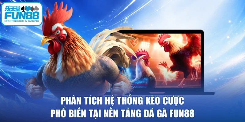 Phân tích hệ thống kèo cược phổ biến tại nền tảng đá gà FUN88